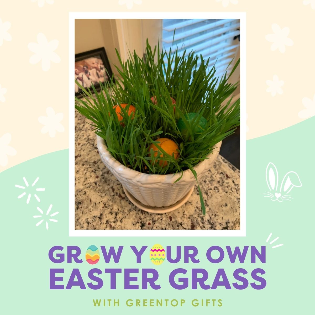 How to Grow Easter Grass 